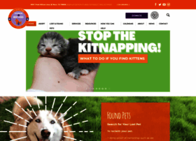 Elpasoanimalservices.org thumbnail
