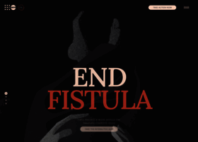 Endfistula.org thumbnail
