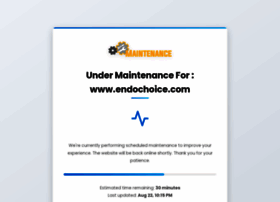 Endochoice.com thumbnail