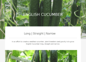 Englishcucumber.com thumbnail