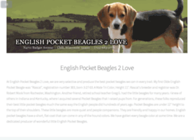 Englishpocketbeagles2love.com thumbnail