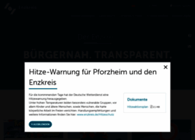 Enzkreis.de thumbnail