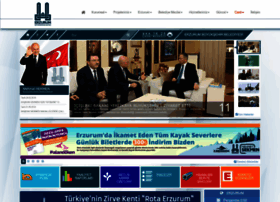 Erzurum-bld.gov.tr thumbnail