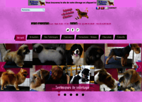 Esthetiquecanine.com thumbnail