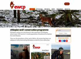 Ethiopianwolf.org thumbnail