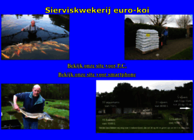 Euro-koi.be thumbnail
