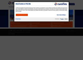 Eurofinsus.com thumbnail