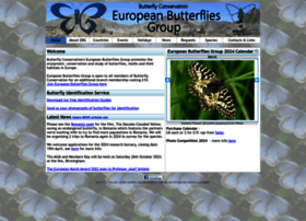 European-butterflies.org.uk thumbnail European-butterflies.org.uk thumbnail