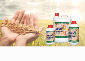 Evergrowbiochem.com thumbnail