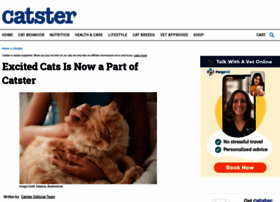 Excitedcats.com thumbnail