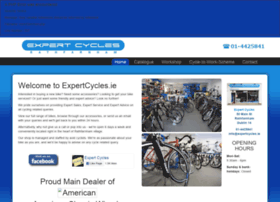 Expert.scandiumweb.ie thumbnail