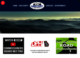 Fannincountyga.com thumbnail