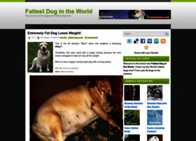 Fattestdogintheworld.blogspot.com thumbnail