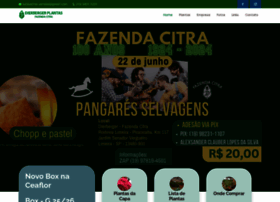 Fazendacitra.com.br thumbnail