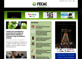 Fecac.com thumbnail