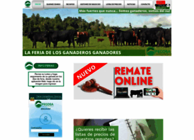 Fegosa.cl thumbnail Fegosa.cl thumbnail