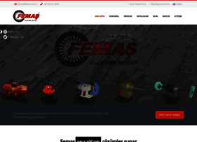 Femas.com.tr thumbnail