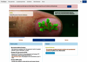 Fernbase.org thumbnail