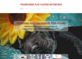 Fishercreekflatcoats.com thumbnail