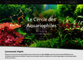 Fishfish.fr thumbnail