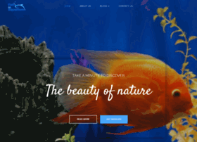 Fishinaquarium.com thumbnail