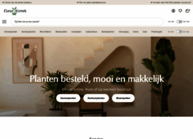 Fleurdirect.nl thumbnail