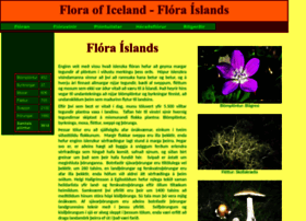 Floraislands.is thumbnail