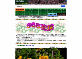 Flower365.jp thumbnail Flower365.jp thumbnail