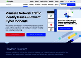 Flowmon.com thumbnail