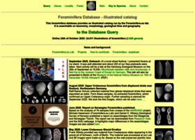 Foraminifera.eu thumbnail Foraminifera.eu thumbnail