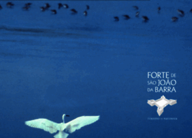 Fortesaojoaodabarra.com thumbnail
