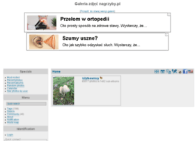 Fotki.nagrzyby.pl thumbnail
