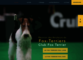 Fox-terrier.org thumbnail