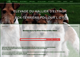 Fox-terriers.fr thumbnail