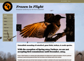 Frozeninflight.com thumbnail