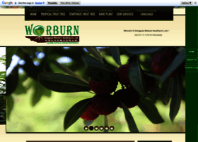 Fruit-trees-nursery.com thumbnail