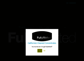 Fullymelted.com thumbnail