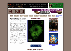 Fungimag.com thumbnail