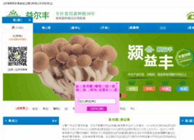 Fyyef.cn thumbnail