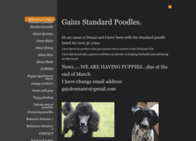 Gaiusstandardpoodles.co.nz thumbnail