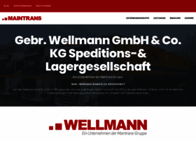 Gebr-wellmann.de thumbnail