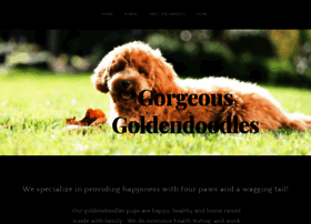 Gorgeousgoldendoodlesnc.com thumbnail