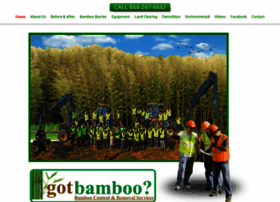 Gotbamboo.com thumbnail