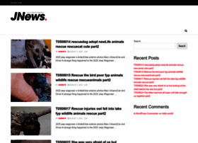 Gottalent.newstodaytv24.com thumbnail