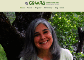 Gowildconsulting.com thumbnail
