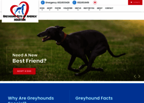 Gpahouston.org thumbnail