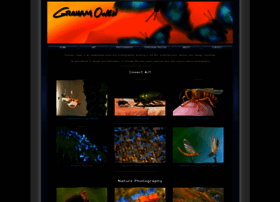 Grahamowengallery.com thumbnail
