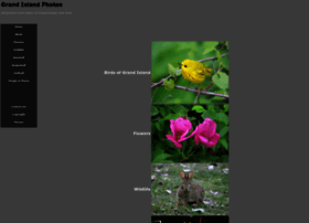 Grandislandphotos.com thumbnail