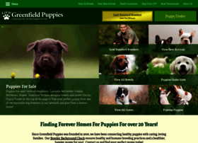 greenfield puppies australian shepherd