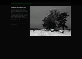 Greenglassphotos.com thumbnail